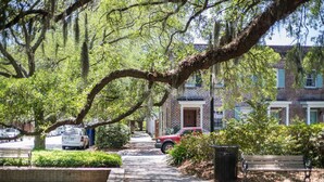 A residential street lined with brick houses, parked cars, and a sidewalk with benches. - Intimate Studio Hideaway Perfect for Couples by Lucky Savannah (Savannah)