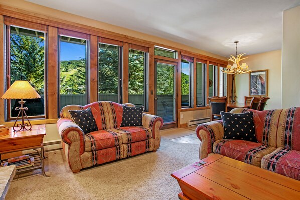 TV, fireplace, DVD player