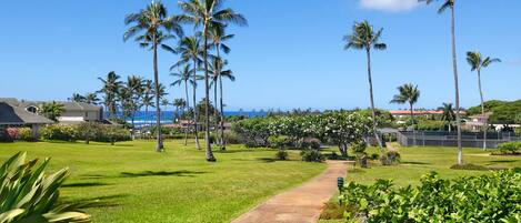 A well-maintained lawn with a central pathway, surrounded by palm trees and lush greenery, leading to a view of the ocean.
