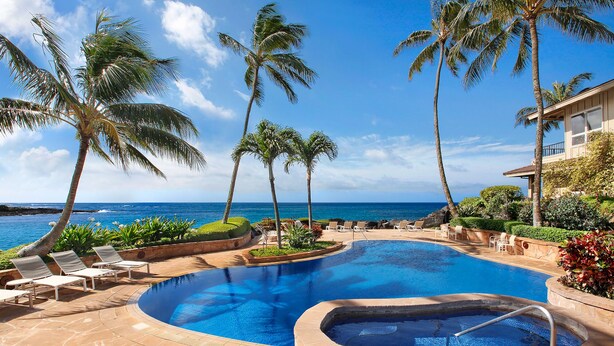 A pool area with lounge chairs, a hot tub, and palm trees.