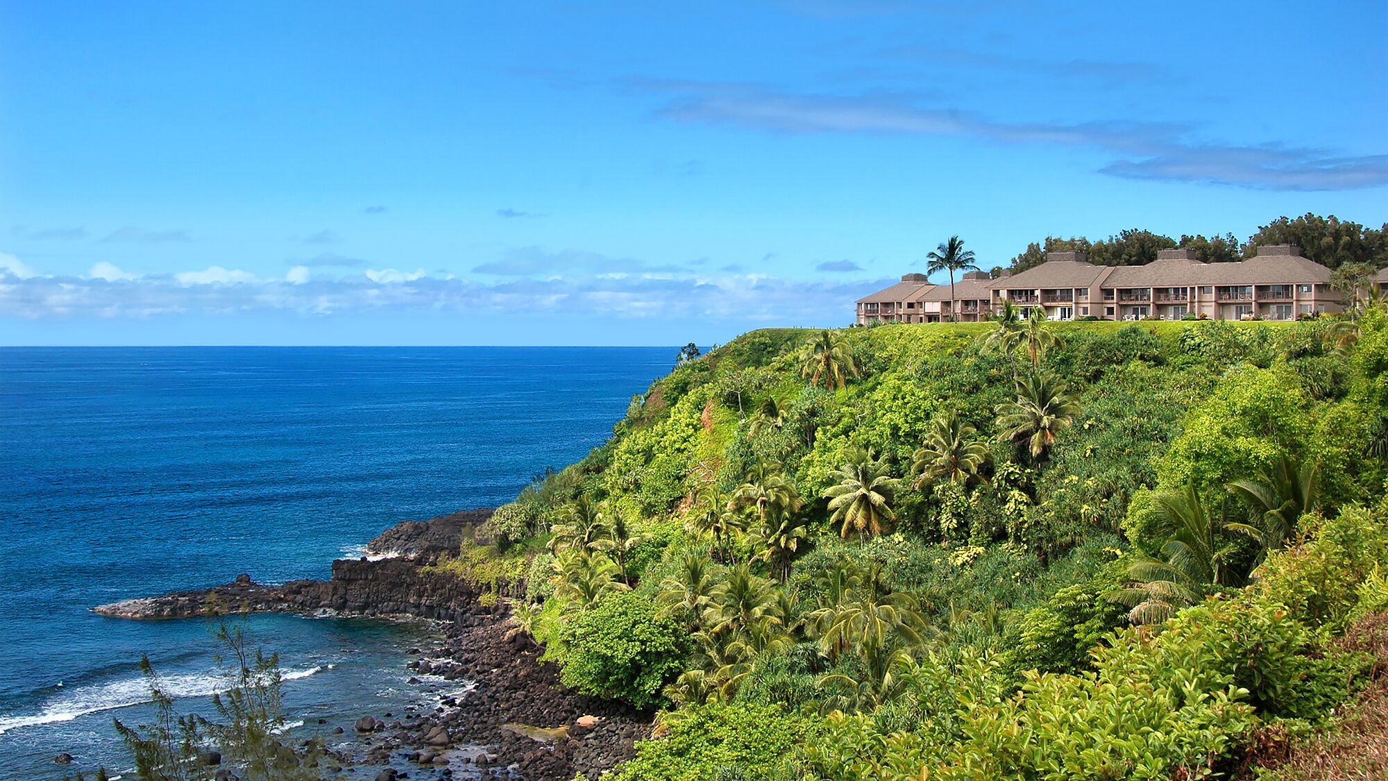 A hotel with a view of the ocean and lush greenery.