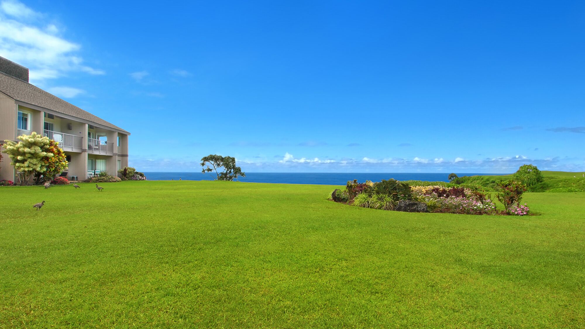 A hotel with a large lawn and a view of the ocean.