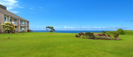 A hotel with a large lawn and a view of the ocean.