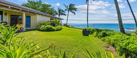 A house with a well-maintained lawn, palm trees, and a view of the ocean.