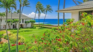 A tropical resort with a well-maintained lawn, palm trees, and a view of the ocean.