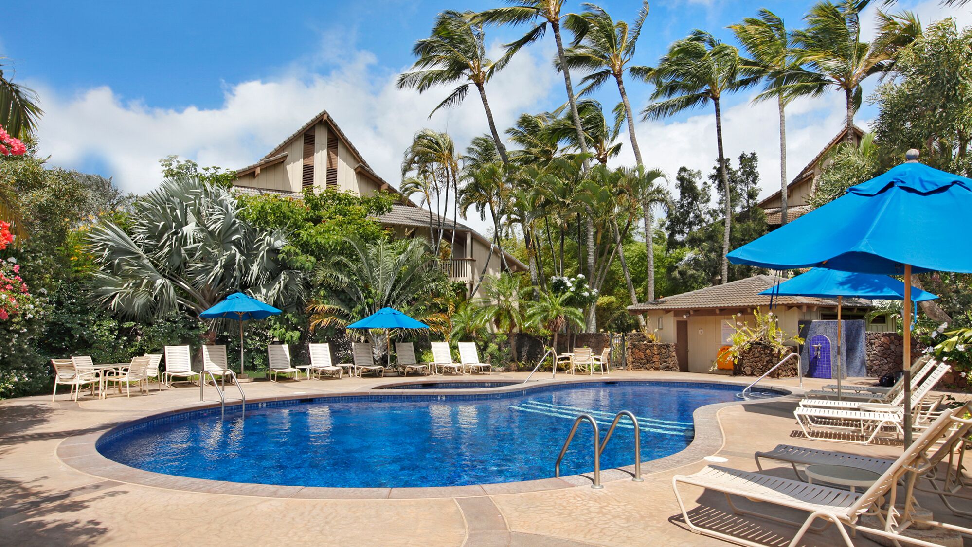 A swimming pool surrounded by lounge chairs and umbrellas, with palm trees and a building in the background.