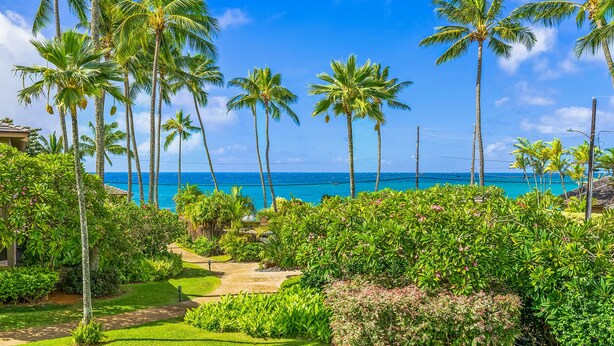 Un jardín tropical con palmeras y un sendero que lleva a vistas del océano.