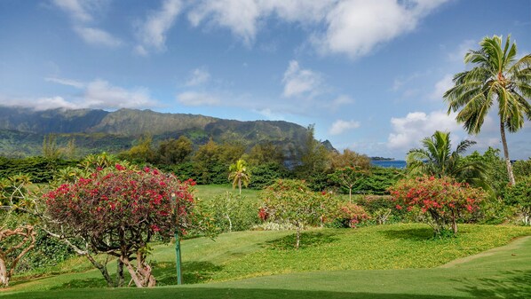 Golf - Hanalei Bay Resort 81012 By Parrish Kauai - full AC & walk to the beach!! (Princeville)
