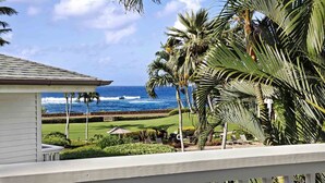 A coastal view with a house, palm trees, and a grassy area.