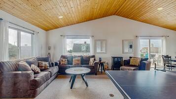 Télévision, cheminée, jeux vidéo, lecteur de DVD