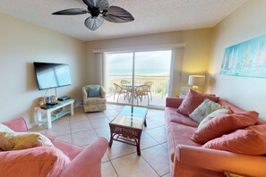 TV - Free Daily Dolphin Show from your Private Balcony!  Great Location.  Great Condo! (Madeira Beach)