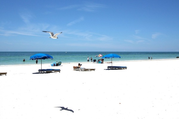 Playa en los alrededores