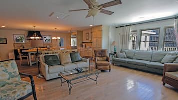 تلفزيون، مشغل دي في دي