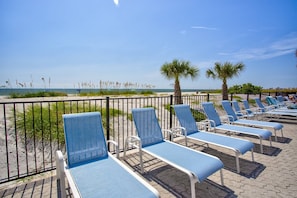 A beachside lounge area with rows of blue lounge chairs and a palm tree.