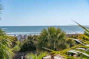 Property grounds - Beautifully renovated oceanfront condo with private balcony and amazing views (Isle of Palms)