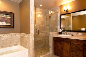 Combined shower/tub, hair dryer, towels