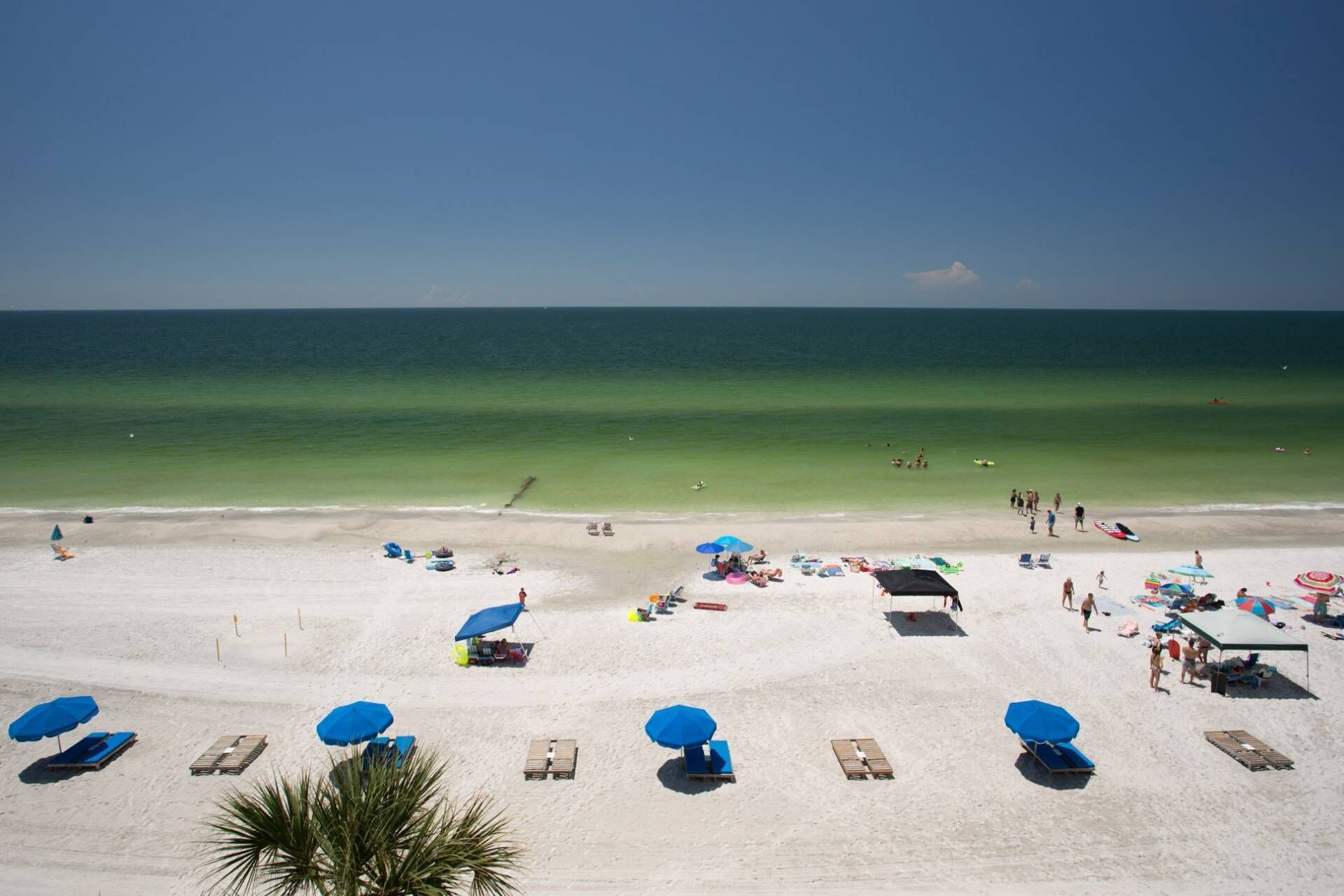 A beach with multiple sun loungers and umbrellas, a clear sky, and the ocean in the background.