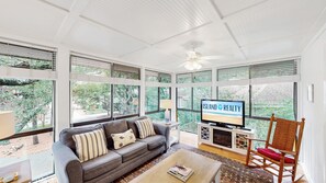 TV