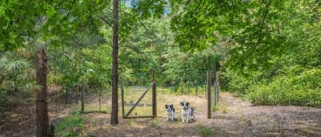 A fenced outdoor area with trees and a wooden gate.
