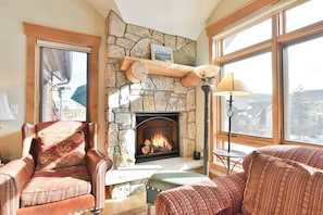 TV, fireplace, DVD player, books