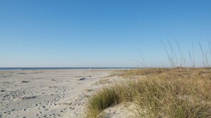 On the beach