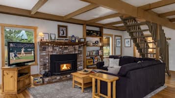 TV, fireplace, DVD player, books