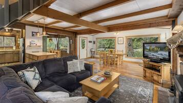 TV, fireplace, DVD player, books