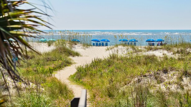 A beach path leading to beach umbrellas and the ocean. - Gorgeous dual-level ocean view unit located in Wild Dunes (Isle of Palms)