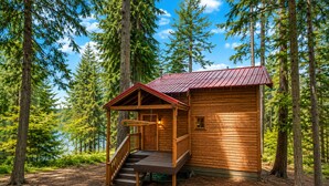 Punakatolla varustettu puumökki, jonka ympärillä kohoaa korkeita puita ja jonka yllä on kirkas taivas.