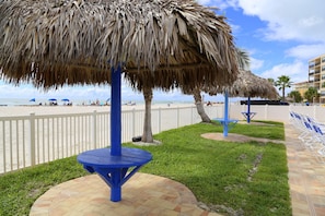 Property grounds - John's Pass - Beach Location - Beach Place #200 (Madeira Beach)
