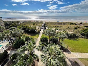 Ein Strandgrundstück mit gepflastertem Weg zum Strand, umgeben von üppiger Vegetation und Palmen.