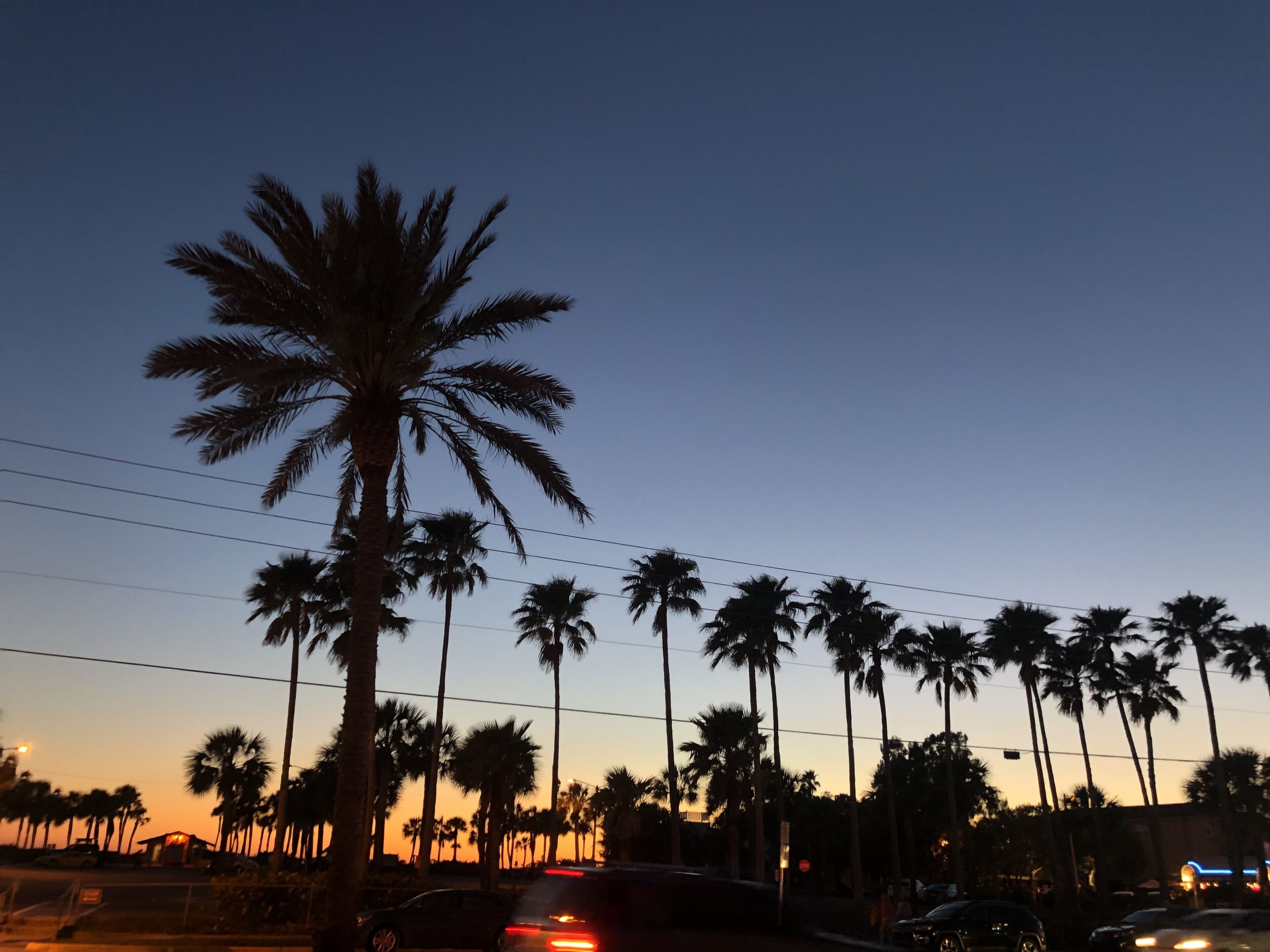 A sunset with palm trees and a road with cars.