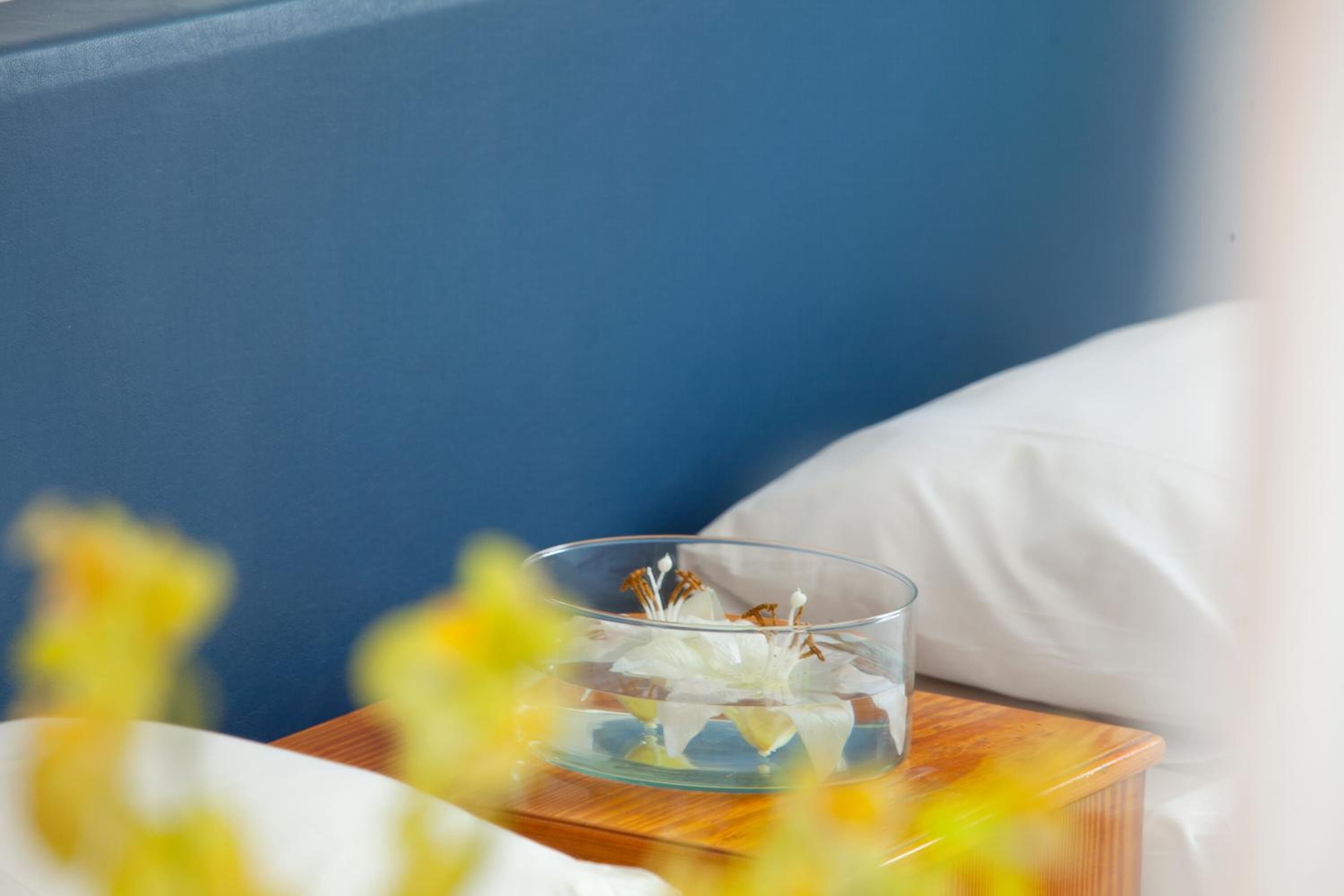 Photo - Paloma Hotel Apartments