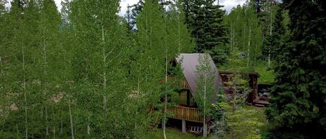 A cabin surrounded by dense forest, with a wooden deck and a metal roof.