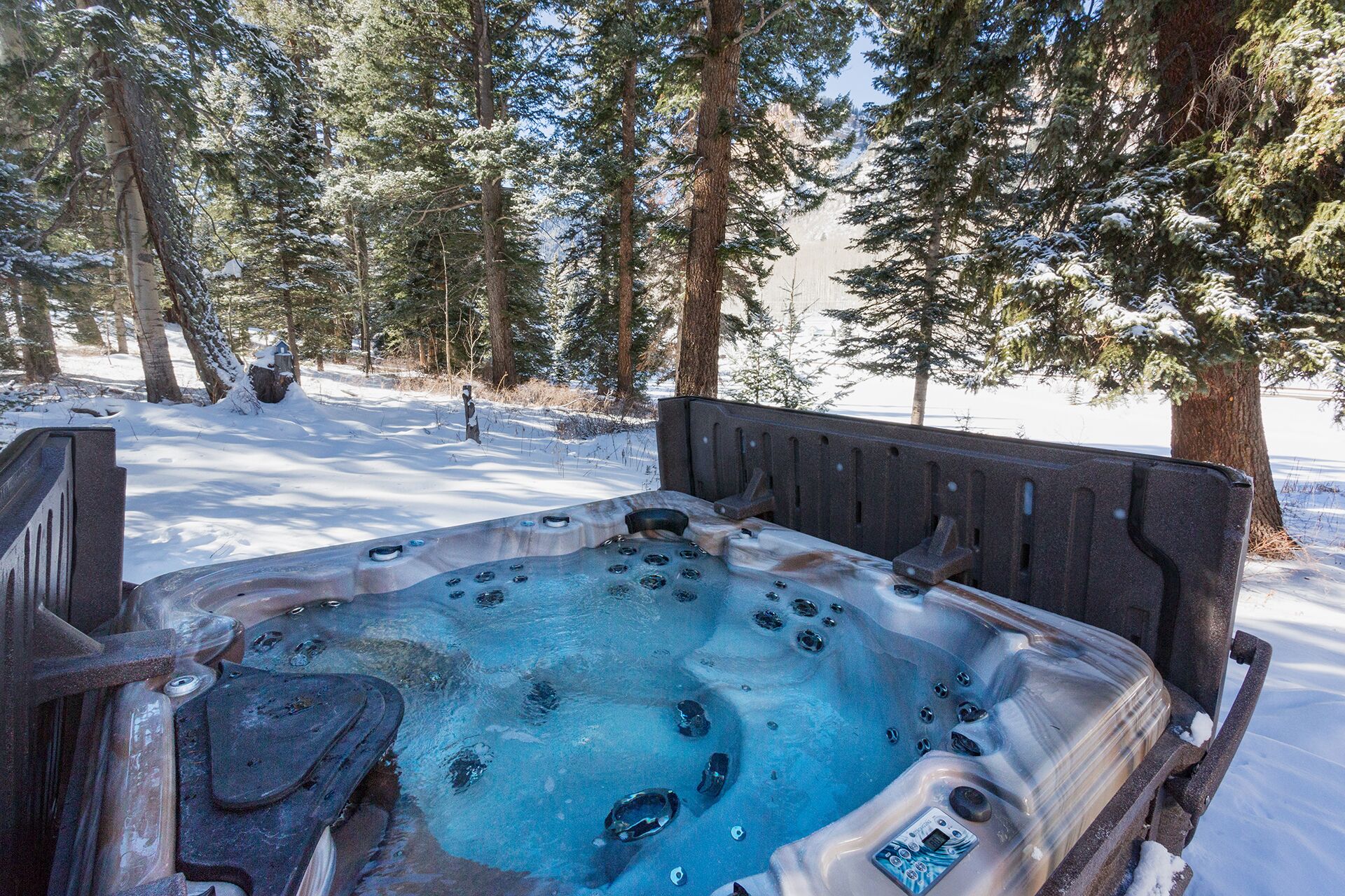Een jacuzzi in een besneeuwd bos.