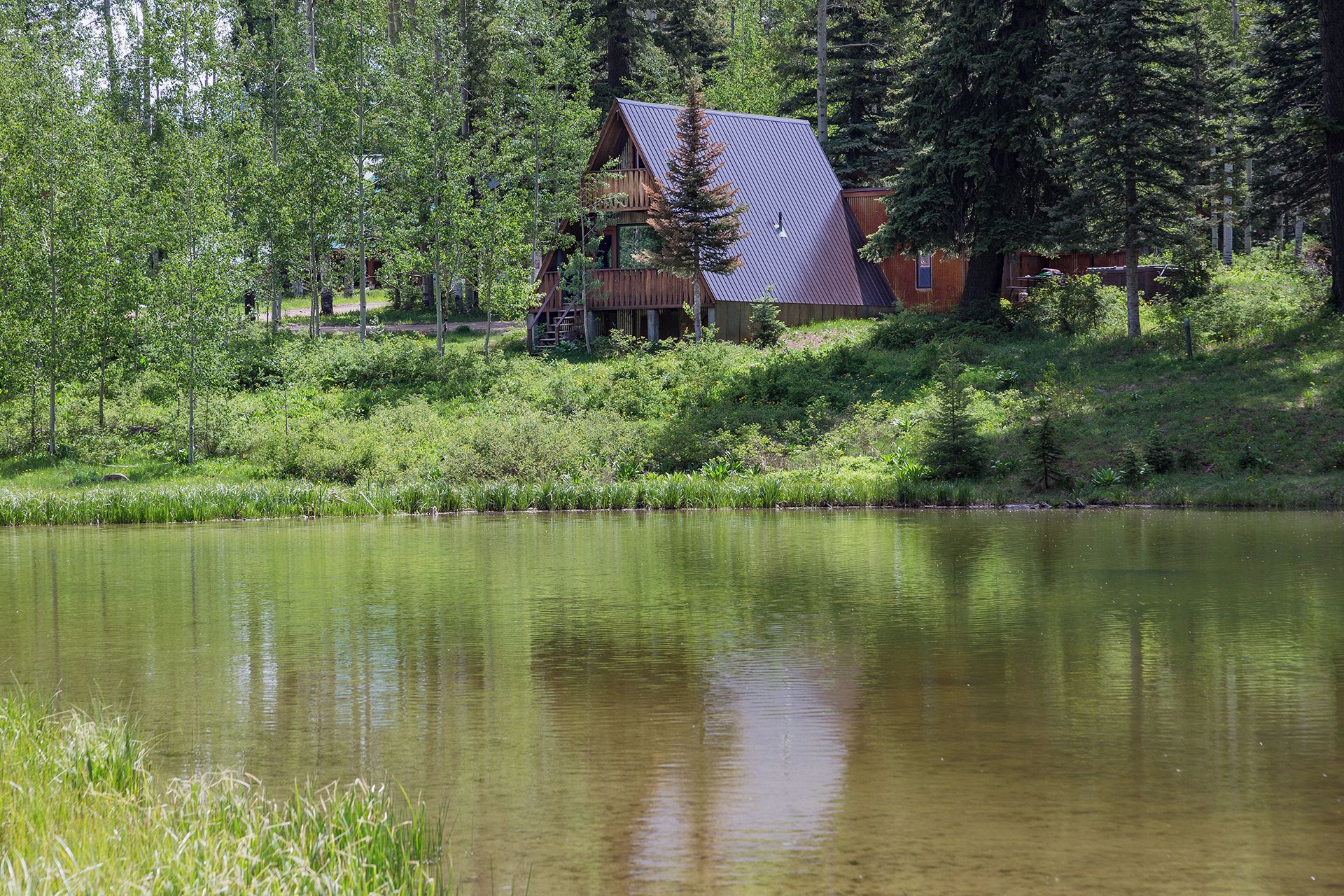 Une cabane dotée d’un toit en pente, entourée d’une forêt dense et bordée d’un étang.