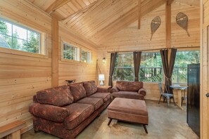 Älytelevisio, takka, DVD-soitin, kirjoja