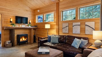 Smart TV, fireplace, DVD player, books