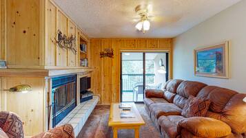 電視、DVD 播放機