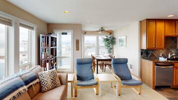 TV, DVD player, books, video library