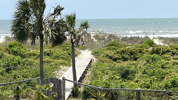 A coastal walkway leading to the beach, surrounded by lush greenery and palm trees.