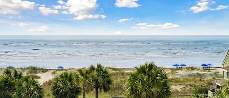 Playa en los alrededores