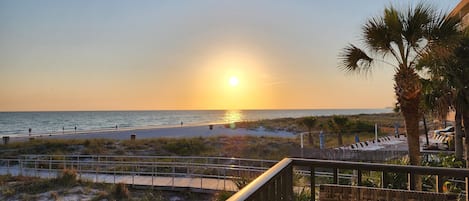 A beach view with a wooden walkway leading to the shore, palm trees, and a clear sky.