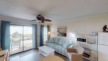 تلفزيون، مشغل دي في دي