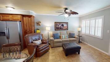 Älytelevisio, DVD-soitin