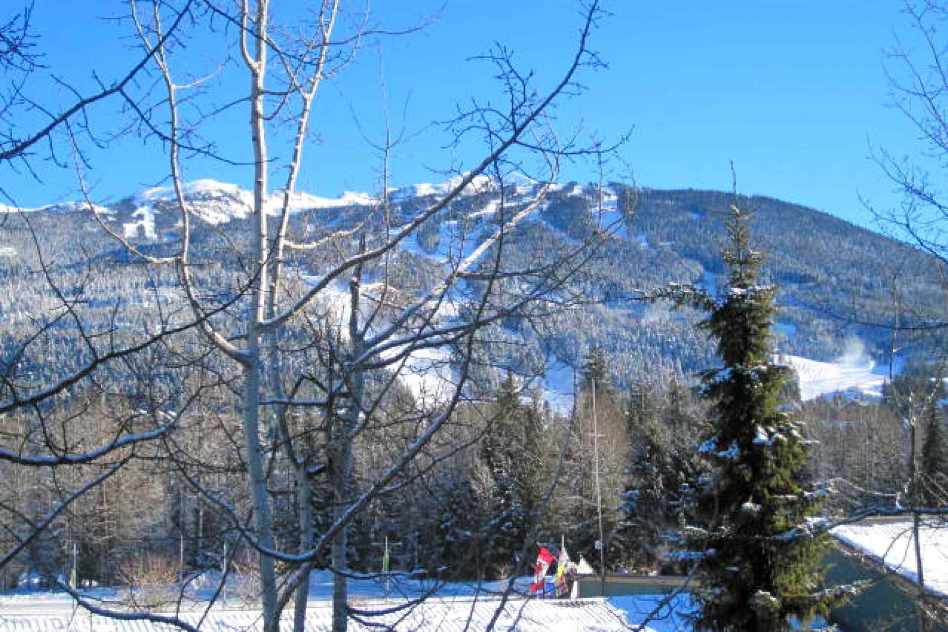 A snow-covered landscape with a mountain in the background, a few trees, and a clear blue sky.