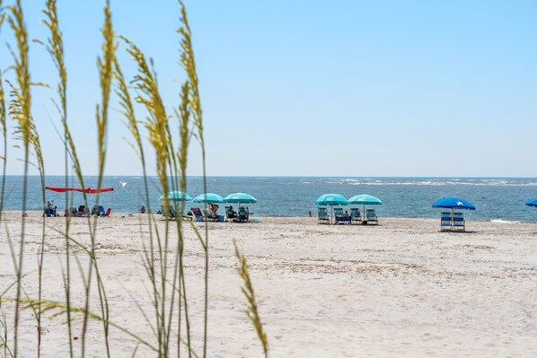 Playa en los alrededores 