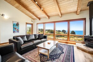 TV, fireplace, DVD player, books