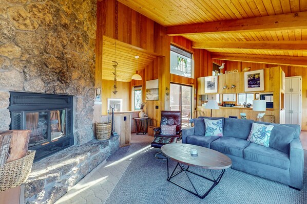 TV, fireplace, DVD player, books