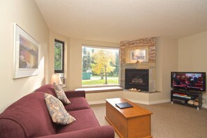 TV, fireplace - BEST VALUE in WHISTLER- Beautiful Ski In/Ski Out property. Heated outdoor pool and hot tub (Whistler)